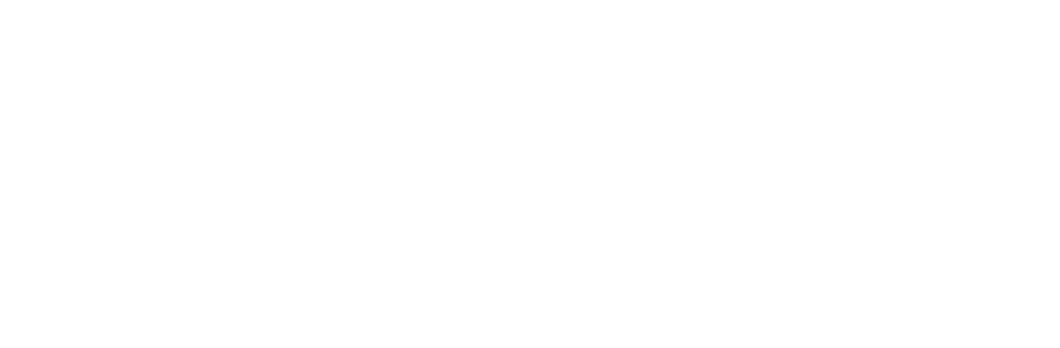 SocialNatives Logo new horizontal white rgb 1